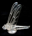 Grande Libelulle - Click for more information