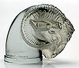 T�te De Belier - Click for more information
